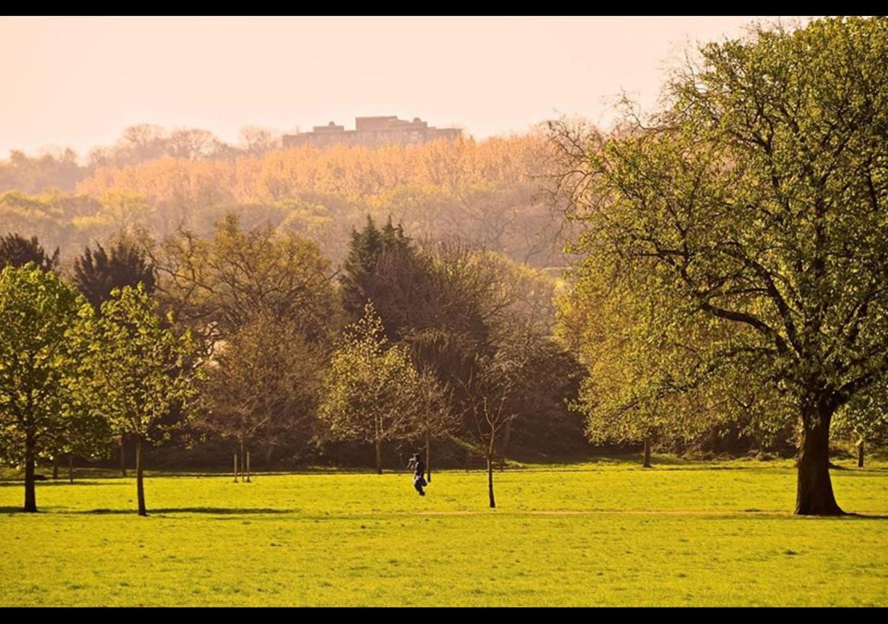 The Nest Of Forest Hill Лондон Экстерьер фото